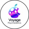 voyage psychedelics